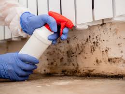 Best Environmental Consulting for Mold Prevention in Shasta Lake, CA